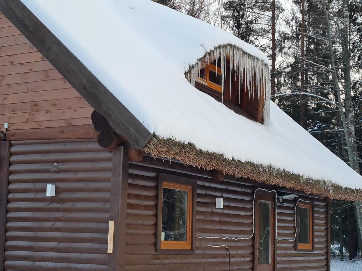 Villa Pirts Maja Ramatas Skulte  Exterior foto